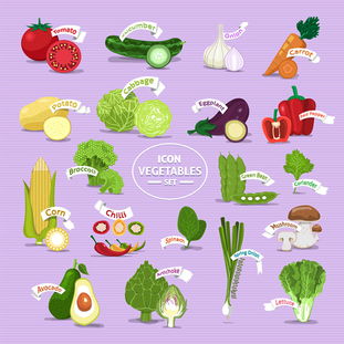 19款漂亮的新鲜蔬菜图标矢量素材